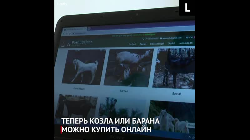 На помощь фермерам в Индии пришел айтишник. Он...