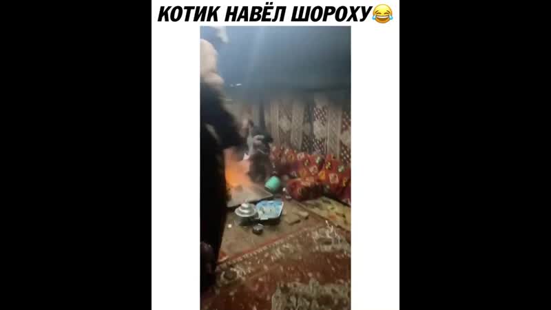 Киса на чаепитие пришла😍🐆😂