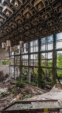 Ботанический сад юфу ростов-на-дону. Ботанический сад южного федерального университета. Ботанический сад ростов на дону. Ботанический сад юфу. Ботанический сад ростова-на-дону.