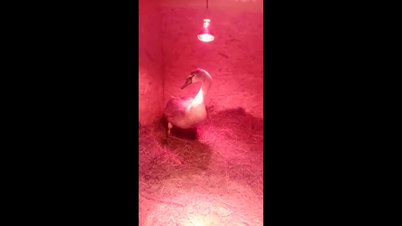 Федор🦢23