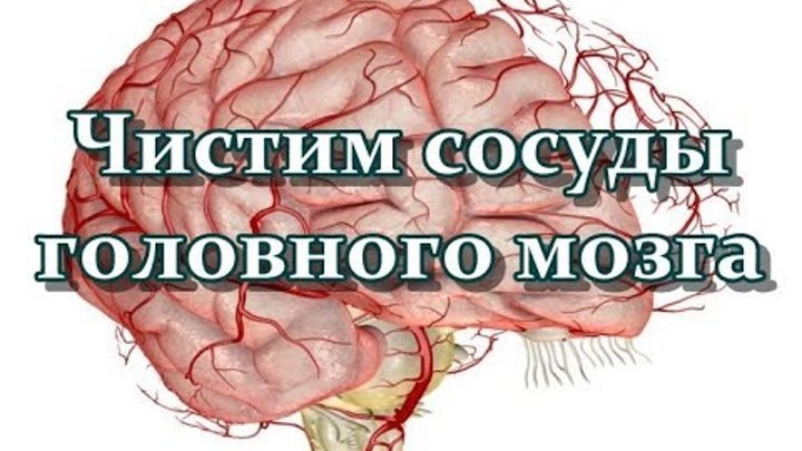 очистить сосуды головного мозга. очищение головных сосудов. очищение сосудов головного мозга народные средства. чистка сосудов народными средствами. для очистки сосудов головы.
