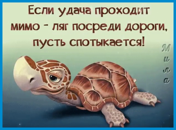 афоризмы про счастье прикольные. доброе утро никуда не надо. если удача проходит мимо картинки. доброе утро со смыслом о жизни прикольные. мимо проходит удача проходит.