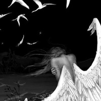 Аватар: Wicked Angel