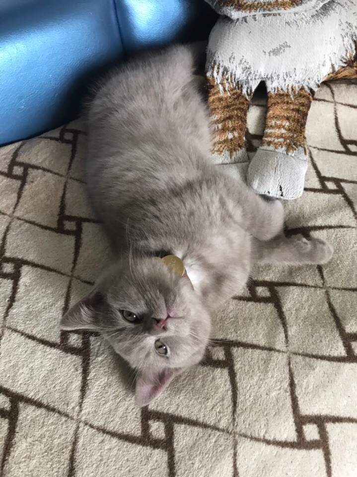 Макс❤
