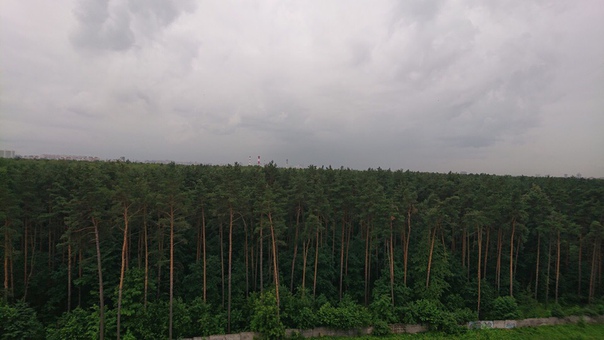 м. Новокосино. 15мин. пешком. 10й эт. Вокруг лесопарк, зелень красота, недалеко ТЦ, Ашан, кинотеатр. Сдаётся комната 14метров в трёшке 13000, свет, вода, нэт - отдельно. В второй, третьей - девушки, и будут жить ТОЛЬКО ДЕВУШКИ!!! По технике и мебели всё есть, мелочи типо перестановок и вещей обговариваются. В комнате кровать-чердак, кому удобно для большего пространства или заменим. С/У раздельный, комнаты изолированы под ключ. Есть кладовка.<br>Заехать - сегодня!!! .<br>СРАЗУ предупрежу - дамы если вам жильё не к спеху - это не ваш вариант. Если вы ищите за эту сумму евроремонт - тоже нет Риелторы и прочие помощники - удачи в вашей не лёгкой жизни проходите мимо, ибо собственник живёт в другой части нашей планеты. <br>И да, залог 5К. Возврат по выезду.<br> - фото Фото: м. Новокосино. 15мин. пешком. 10й эт. Вокруг лесопарк, зелень красота, недалеко ТЦ, Ашан, кинотеатр. Сдаётся комната 14метров в трёшке 13000, свет, вода, нэт - отдельно. В второй, третьей - девушки, и будут жить ТОЛЬКО ДЕВУШКИ!!! По технике и мебели всё есть, мелочи типо перестановок и вещей обговариваются. В комнате кровать-чердак, кому удобно для большего пространства или заменим. С/У раздельный, комнаты изолированы под ключ. Есть кладовка.<br>Заехать - сегодня!!! .<br>СРАЗУ предупрежу - дамы если вам жильё не к спеху - это не ваш вариант. Если вы ищите за эту сумму евроремонт - тоже нет Риелторы и прочие помощники - удачи в вашей не лёгкой жизни проходите мимо, ибо собственник живёт в другой части нашей планеты. <br>И да, залог 5К. Возврат по выезду.<br>