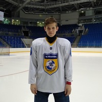 Владимир Кулешов