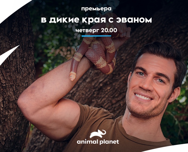 Крохотные и уязвимые, огромные и опасные все животные будут послушными пациентами в руках доктора, которого прозвали заклинателем Эван Энтин любит и ценит каждое живое существо на этой планете,