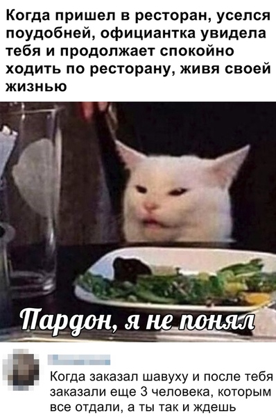 смешные картинки