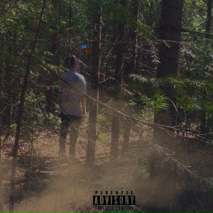 Грустные пташки