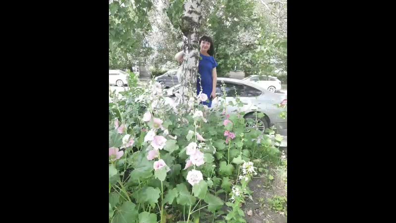VID_43390616_060335_133.mp4