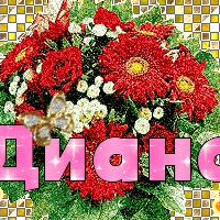 Фотография Дианы Зариповой ВКонтакте