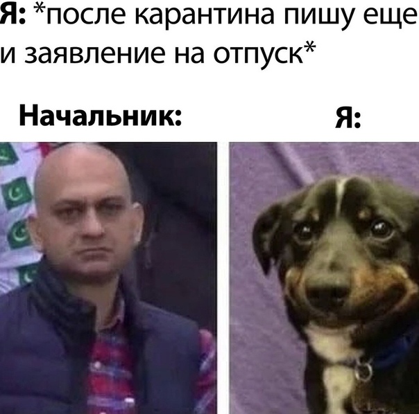 мемасик